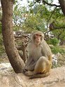 Myanmar 265